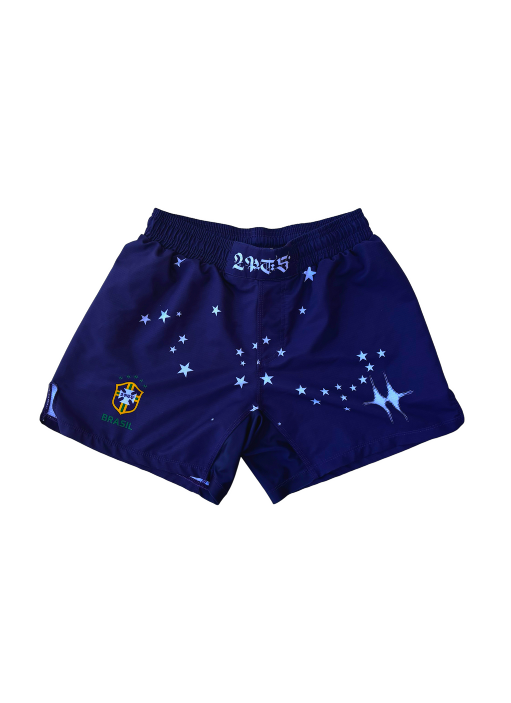 Brasil Fight Shorts
