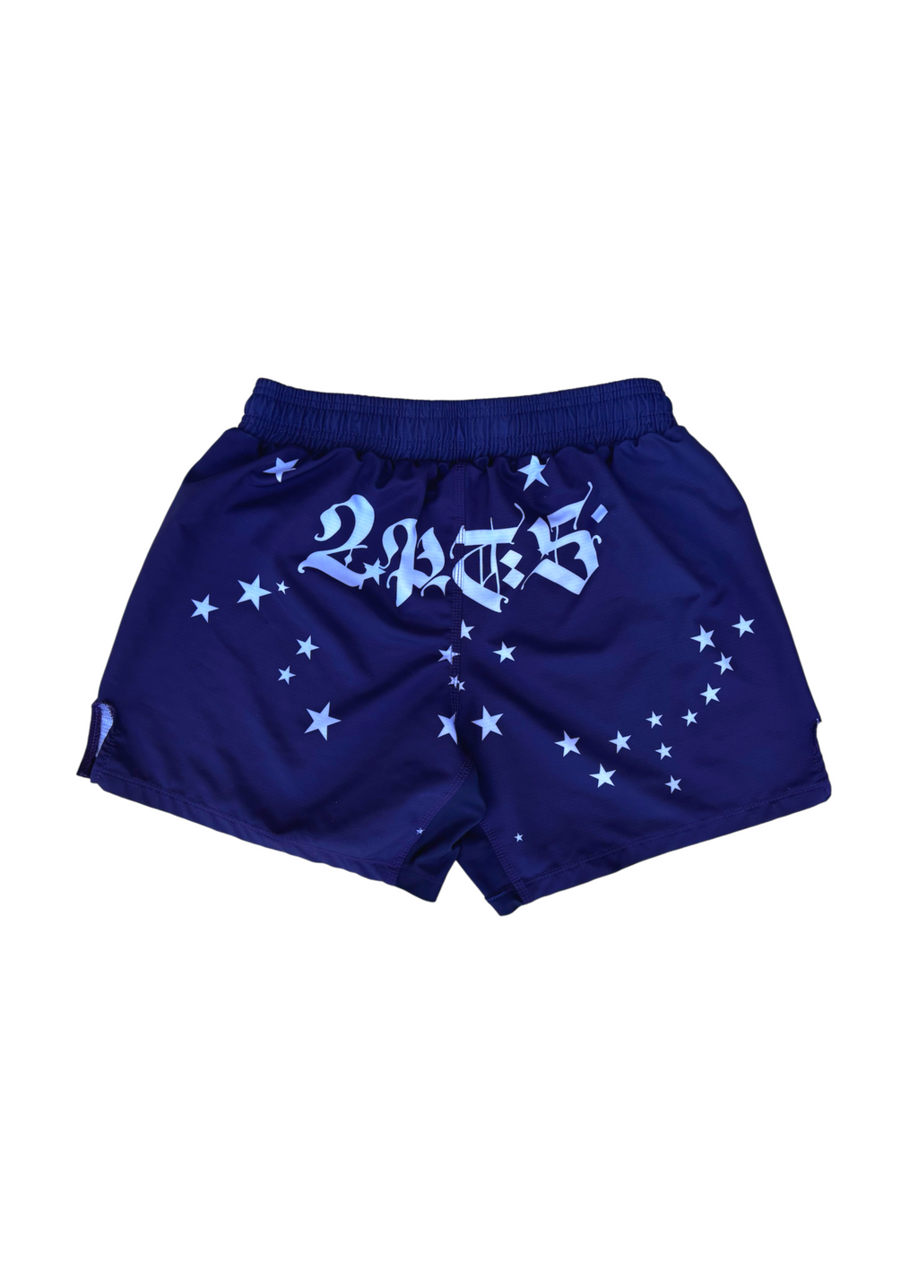 Brasil Fight Shorts
