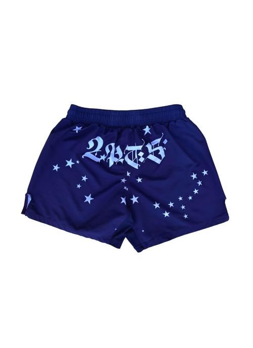 Brasil Fight Shorts