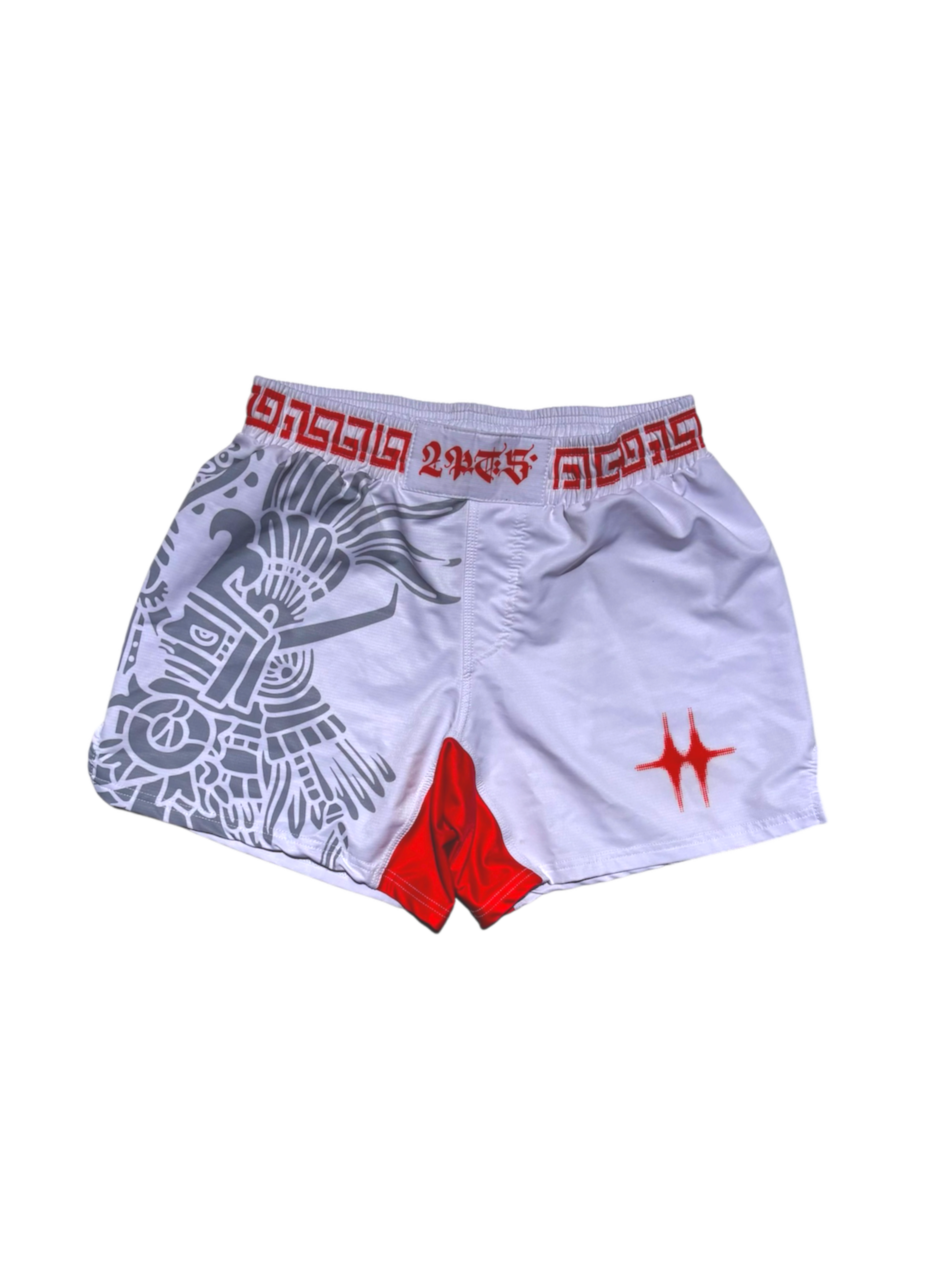 Mexico Fight Shorts