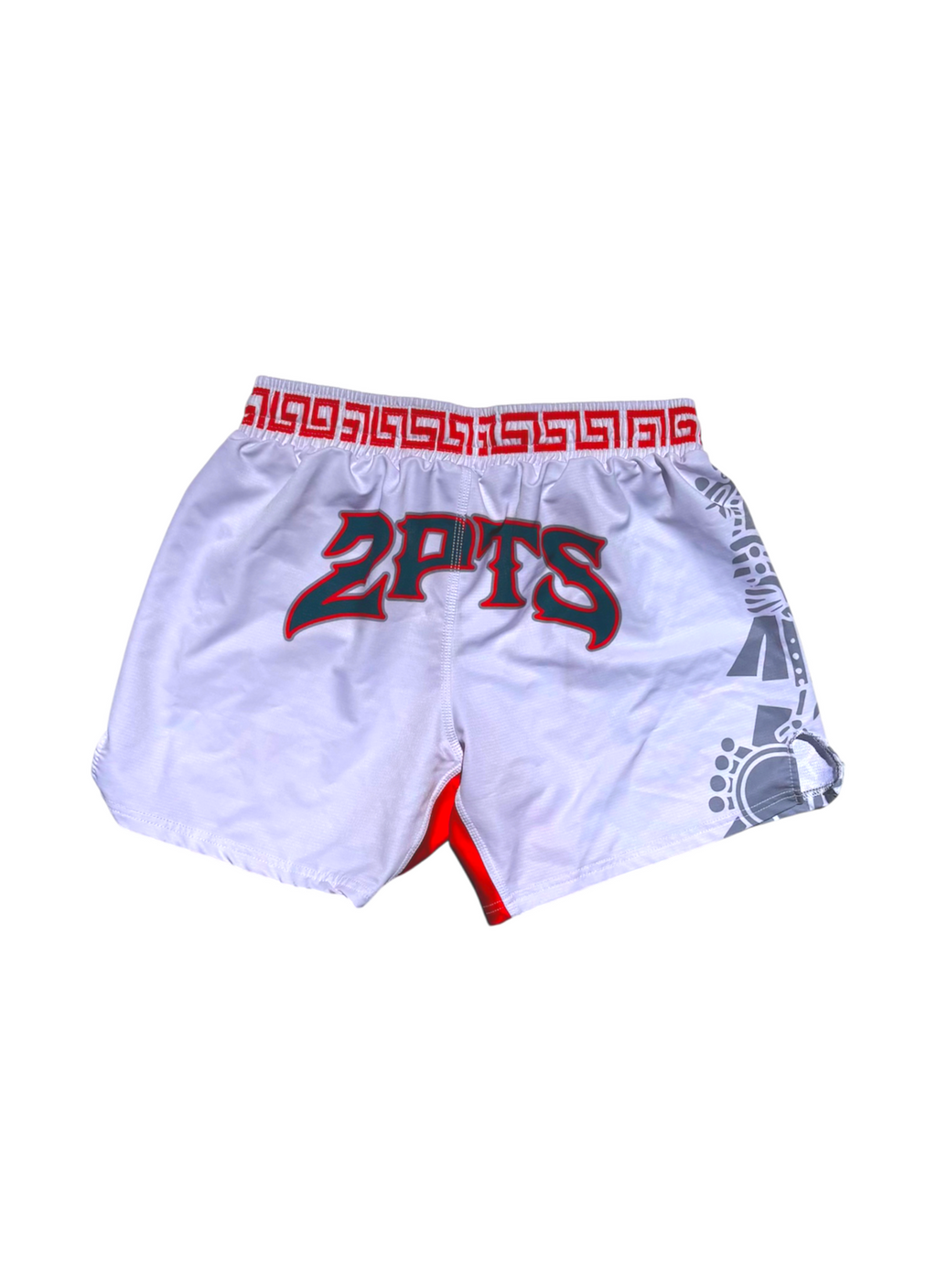 Mexico Fight Shorts