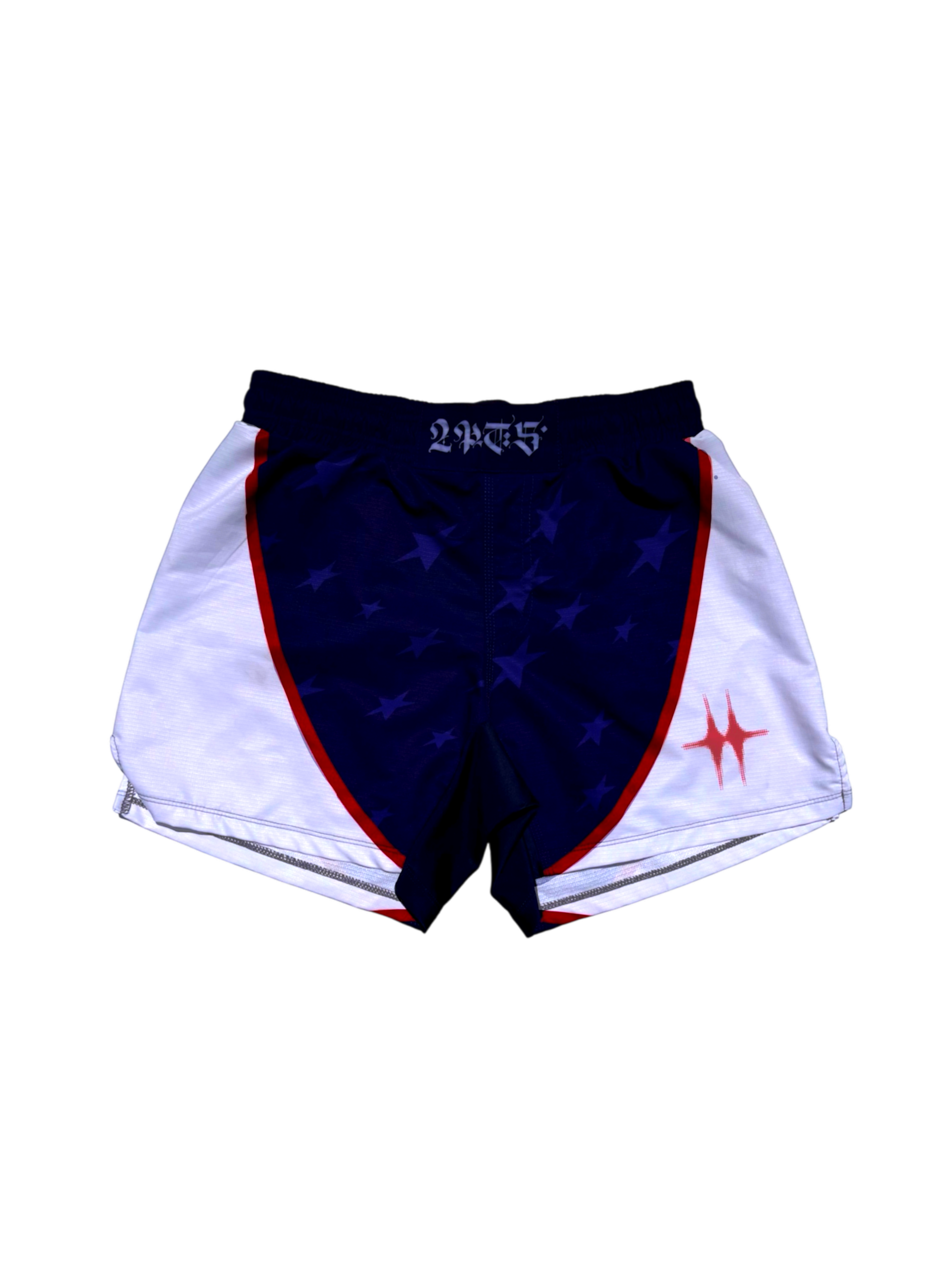 USA Fight Shorts